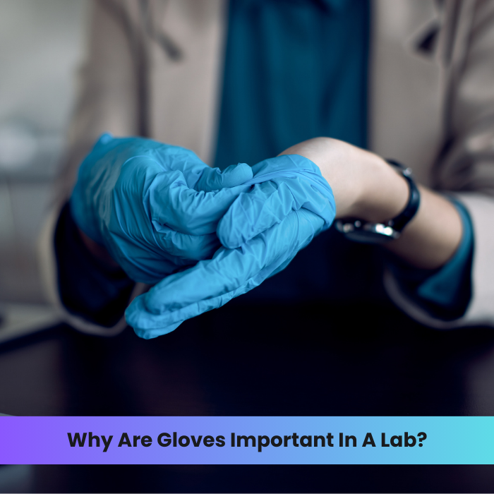 Why Are Gloves Important In A Lab? DR Instruments