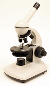 Buy Elementary Compound Microscope - DR Instruments