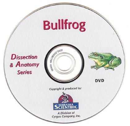 Grab Introduction Guide to Anatomy of the Bullfrog (DVD) - DR Instruments