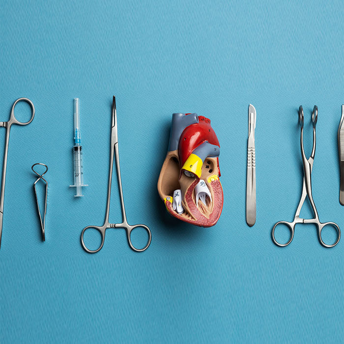 Dissection Kit Ideas for Different Grade Levels – DR Instruments
