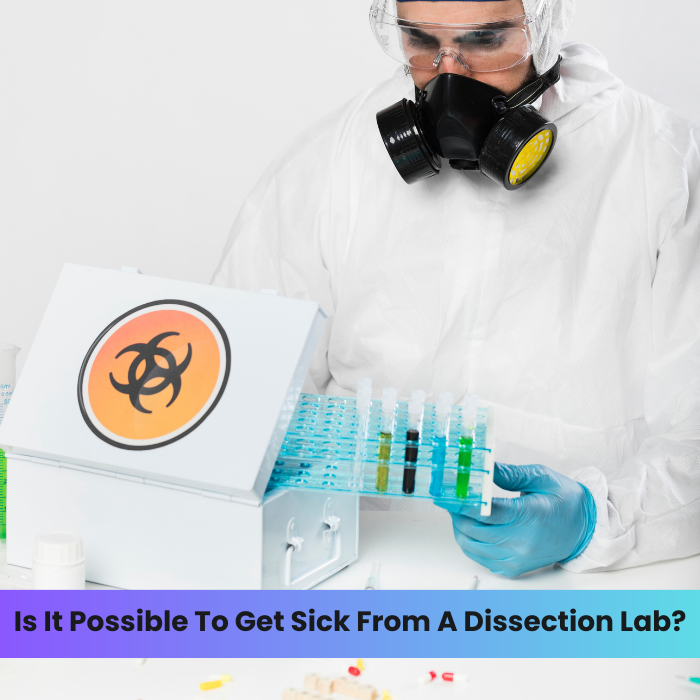 Is Dissecting a Frog Going to Make You Sick? A Deep Dive into Lab ...