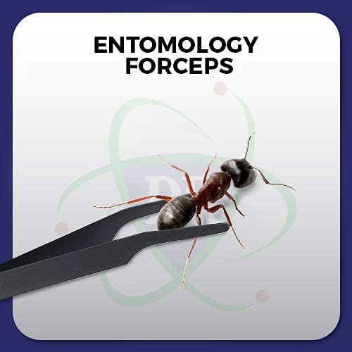 Entomology Forceps with Precision Narrow Points for a Delicate Entomology Work