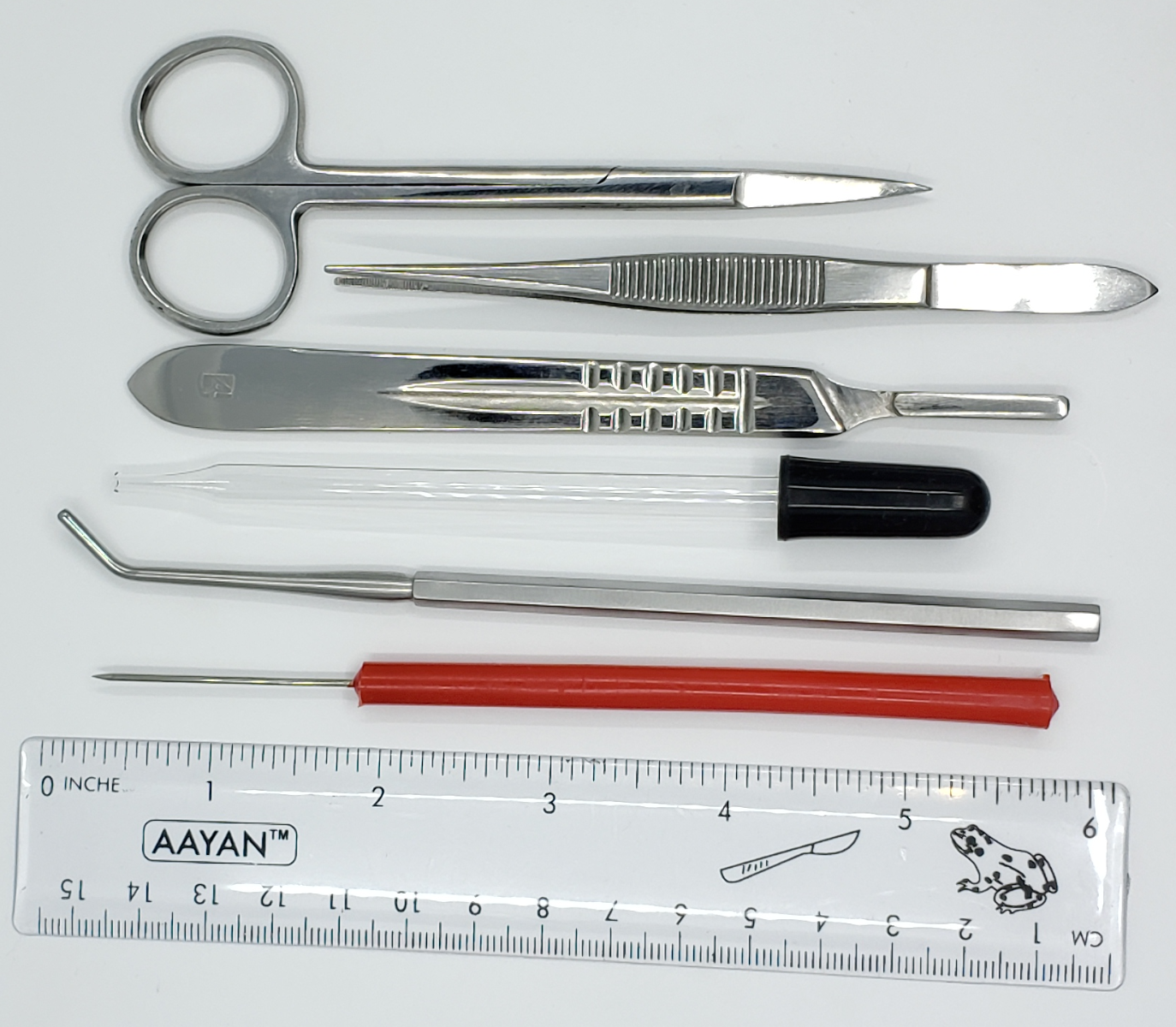 Precision Plus Dissection Kit 24 Pcs, Assorted Colors Hard Case – DR ...