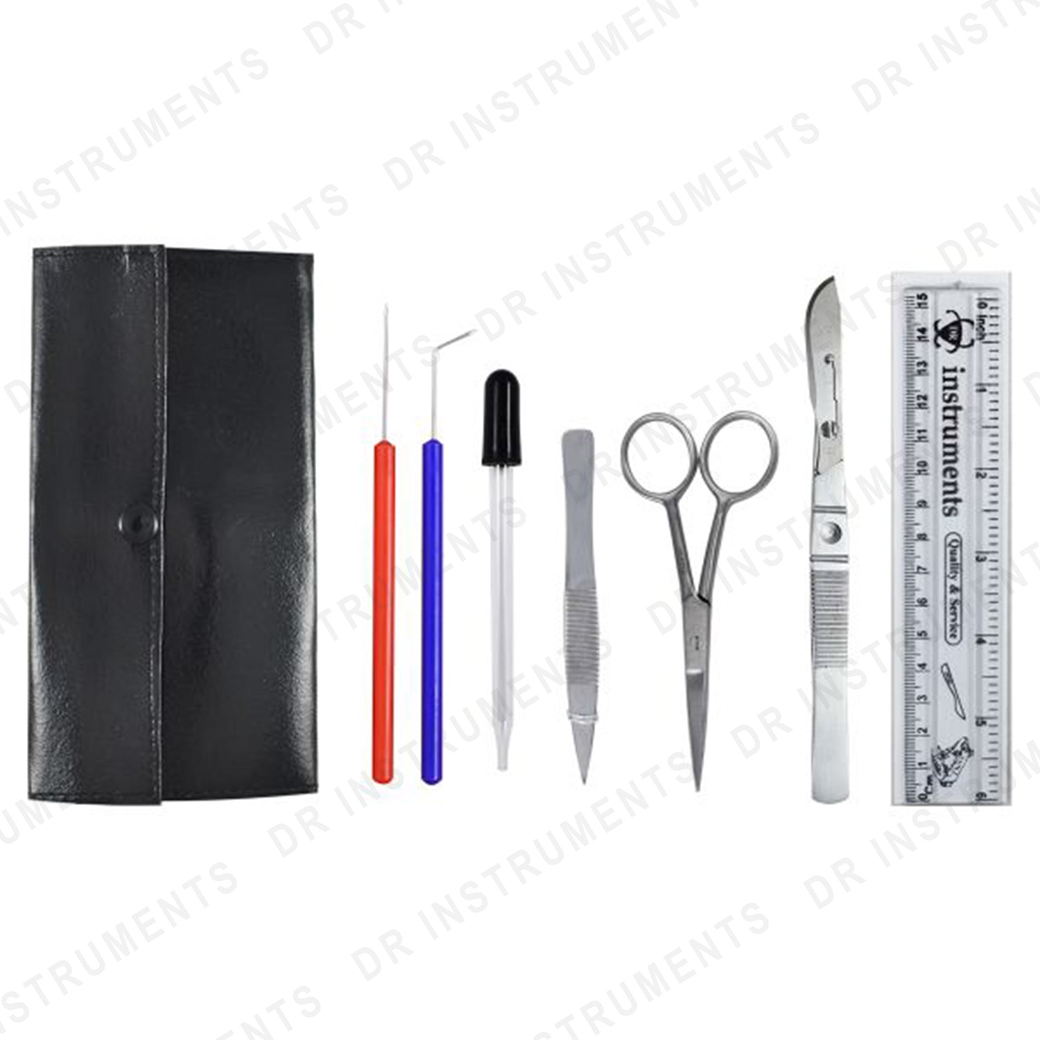 Budget Frog Dissection Kit – DR Instruments