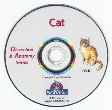 Buy The Dissection & Anatomy of the Cat (DVD) - DR Instruments