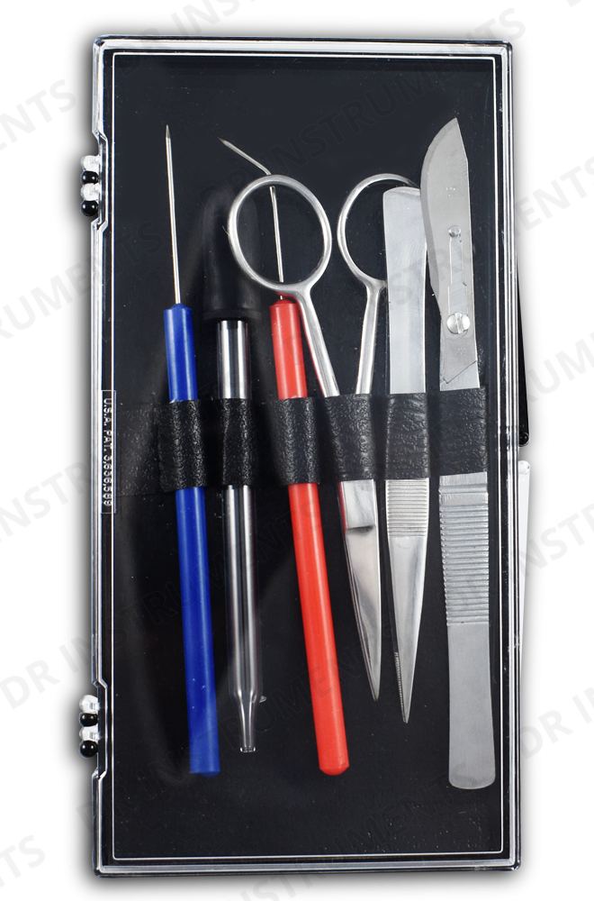 Bun Disection Dissection Kit w/ Screw Lock Blade - 61PC - Dissection Kits – DR ...