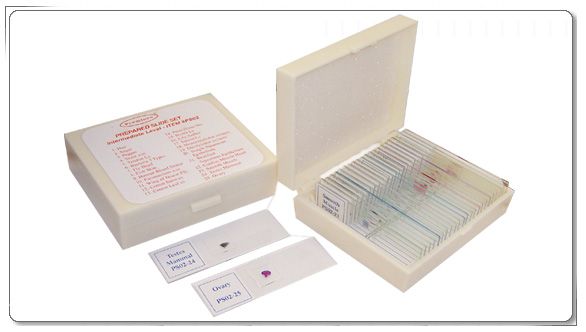 Slider Lab Device Prepared Slide Set - Intermediate - Laboratory Equipment – DR Instruments