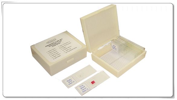 Prepared Slide Set - Elementary - Laboratory Equipment – DR Instruments