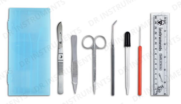 How to dissect a frog? Complete Guide – DR Instruments