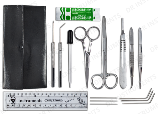 Exploring Frog Dissection: Questions and Answers – DR Instruments