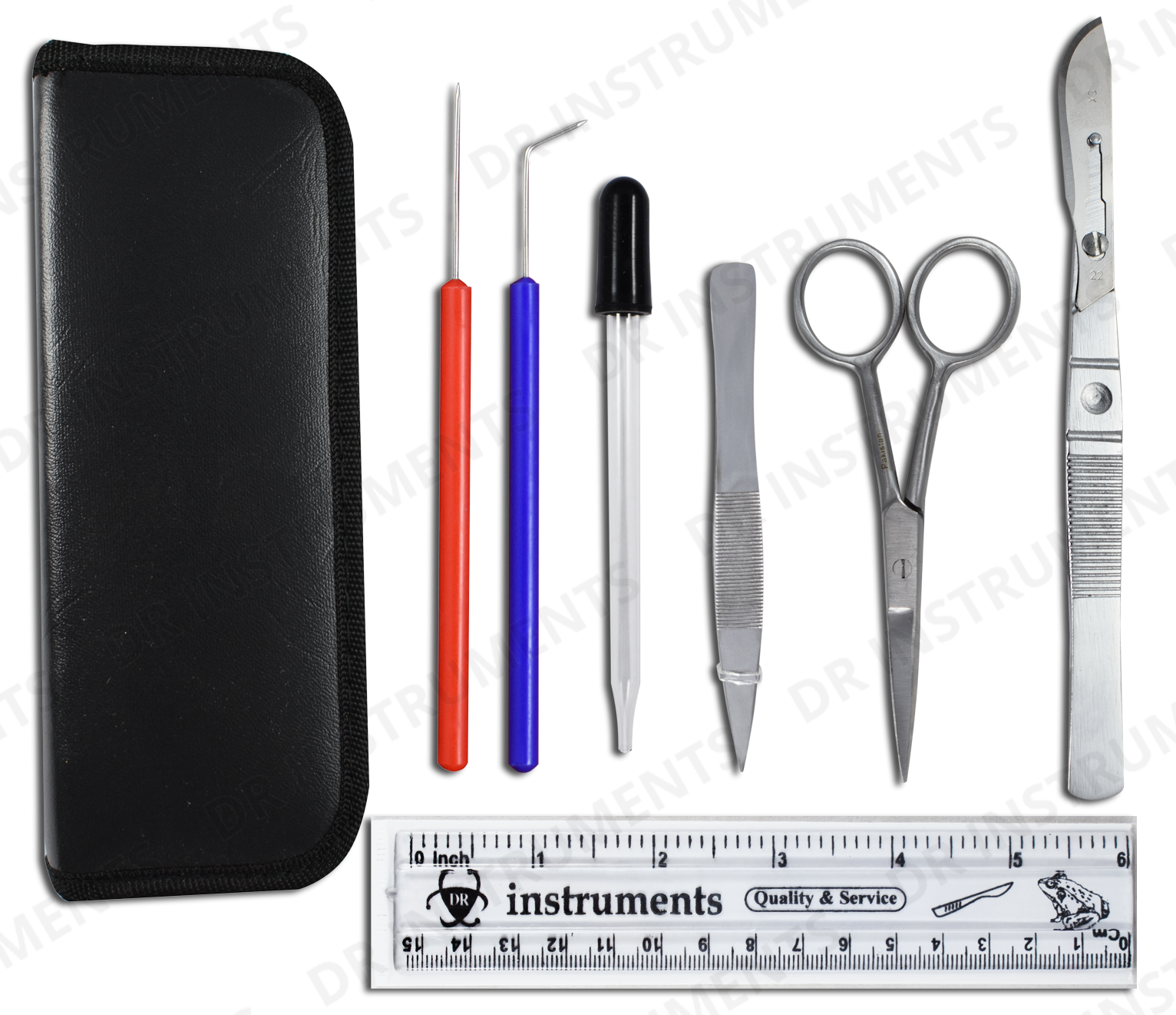 Scalpel Dissection To at Robbin Wood blog