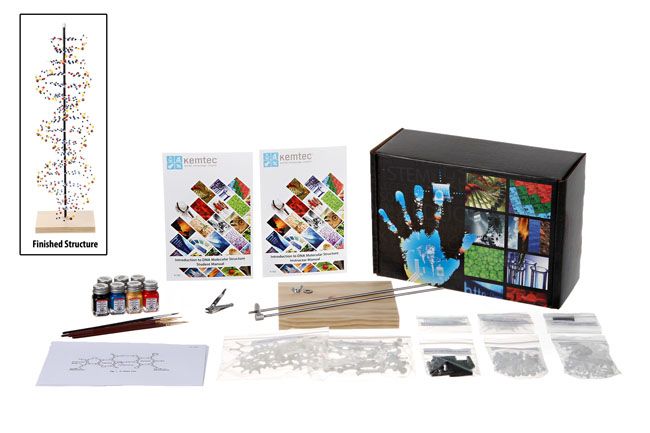 Best Kemtec™ DNA Model with Paint Classroom Kit - DR Instruments