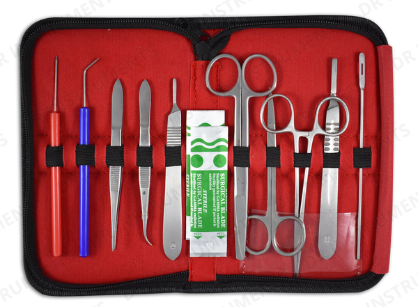Cadavers: What they are and how they are used – DR Instruments