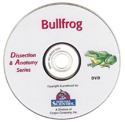 Introduction Guide to Anatomy of the Bullfrog (DVD) - Dissection Kits ...