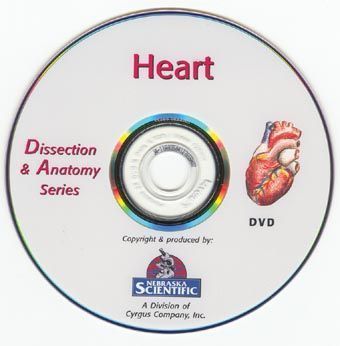 Try out our The Dissection & Anatomy of the Rat (DVD) - DR Instruments